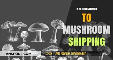 Mushroom Shipping: Who Made the Switch?