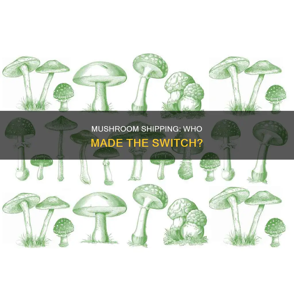 who transferred to mushroom shipping