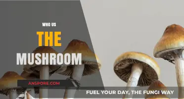 Mushroom Mystery: Unveiling the Fungi's Secrets