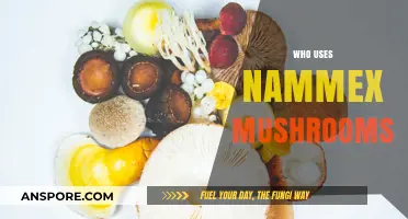 Who Uses Nammex Mushrooms? Exploring Popular Consumers and Applications
