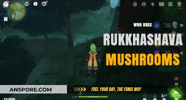 Who Uses Rukkhashava Mushrooms? Exploring Their Cultural and Medicinal Significance