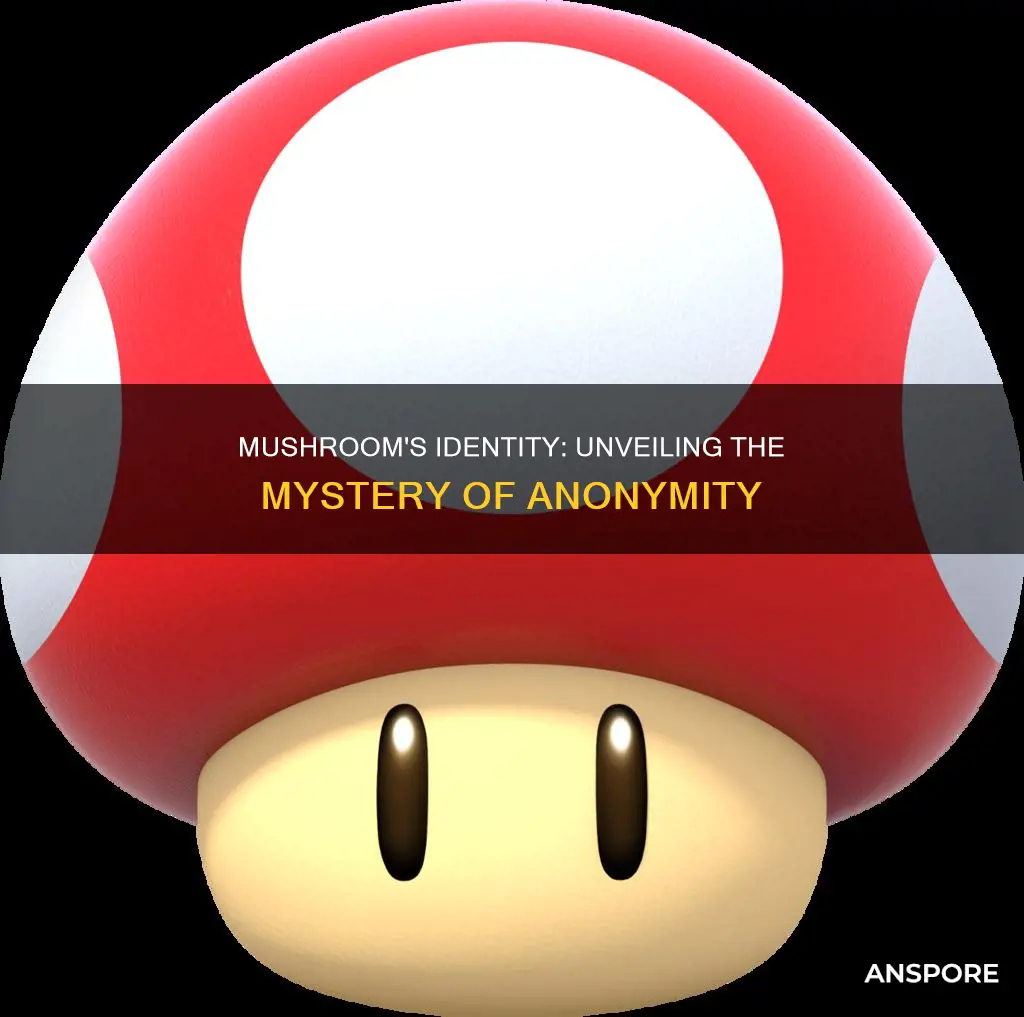 who was mushroom