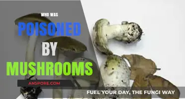 Deadly Fungi: Uncovering History’s Most Famous Mushroom Poisoning Victims