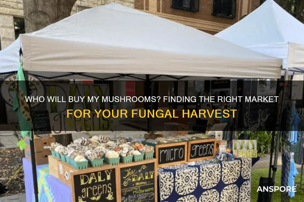 who will buy my mushrooms