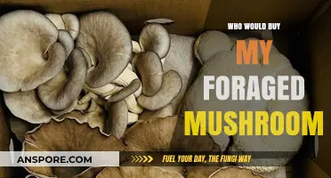 Who Would Buy My Foraged Mushrooms? Targeting the Right Market