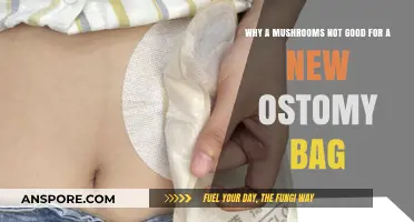 Mushrooms and Ostomy Bags: Why They Don't Mix for New Users