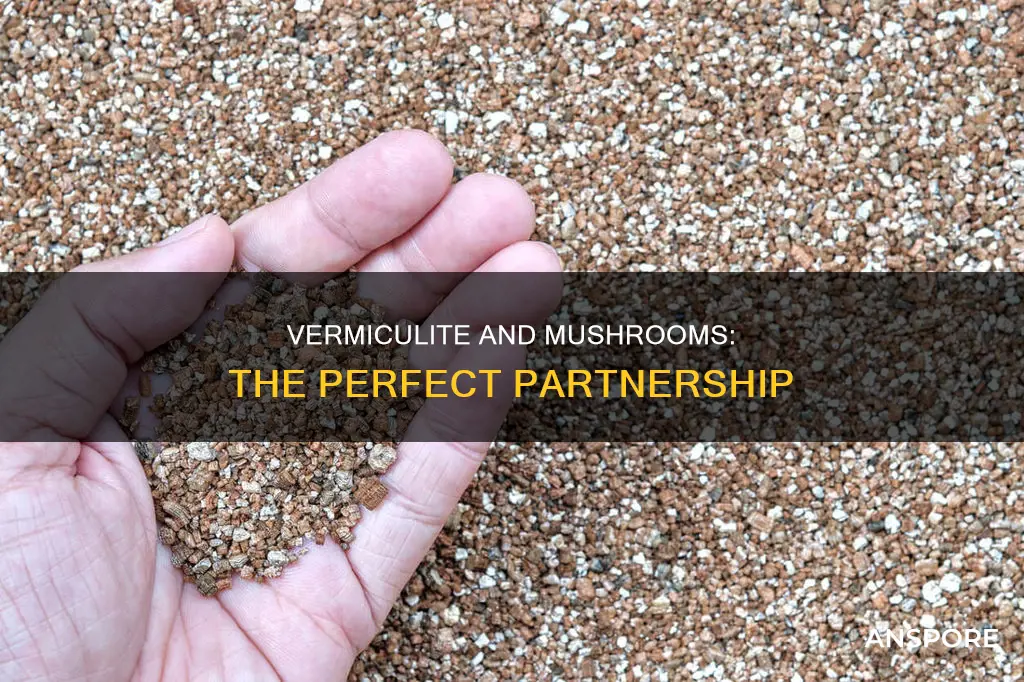 why add vermiculite to mushroom
