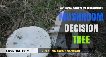 Enhancing Mushroom Classification: Weighted Decision Trees for Poisonous Varieties