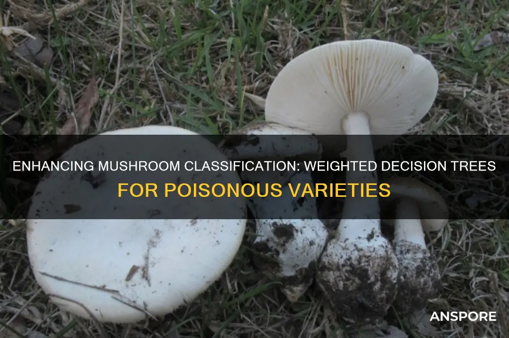 why adding weights for the poisonous mushroom decision tree