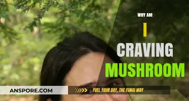 Mushroom Cravings: What Your Body is Trying to Tell You