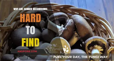 The Mystery of Missing Canned Mushrooms: Why Are They Hard to Find?