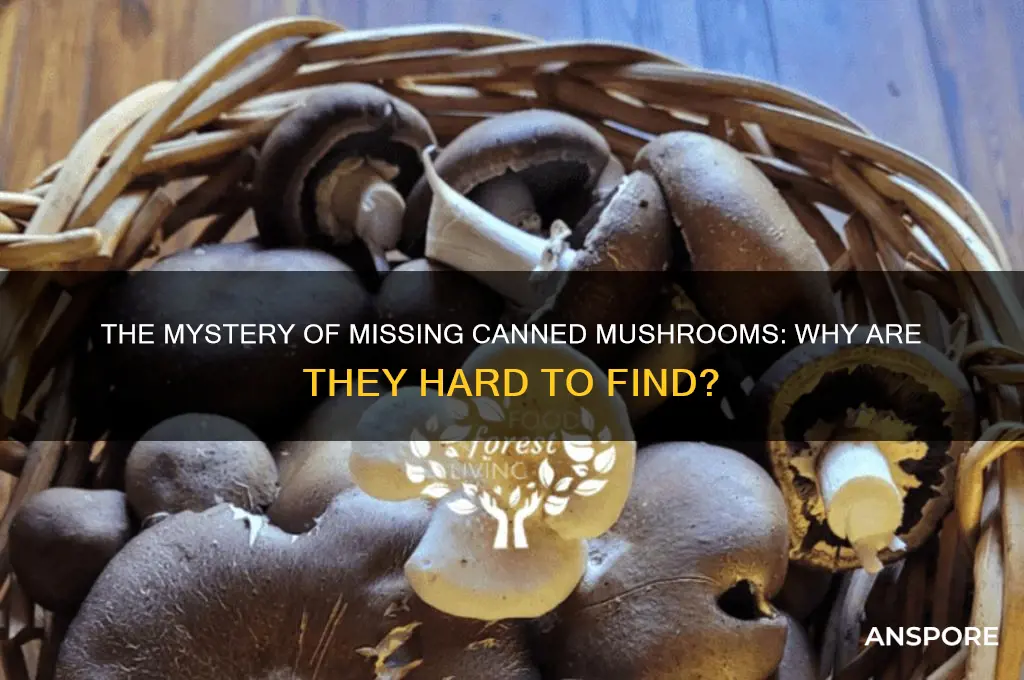 why are canned mushrooms hard to find