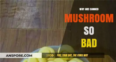 Why Canned Mushrooms Taste Awful and Lack Fresh Flavor