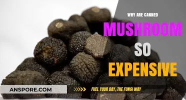 Why Canned Mushrooms Cost More Than You Think: Explained