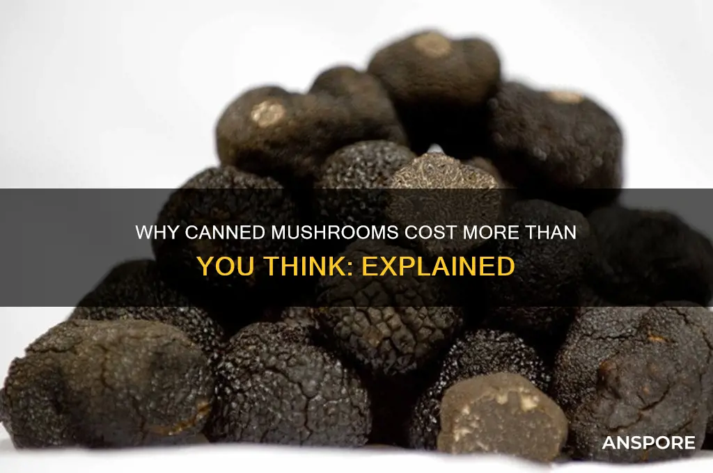 why are canned mushrooms so expensive