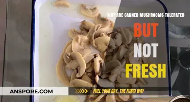 Why Canned Mushrooms Are Tolerated While Fresh Ones Aren't