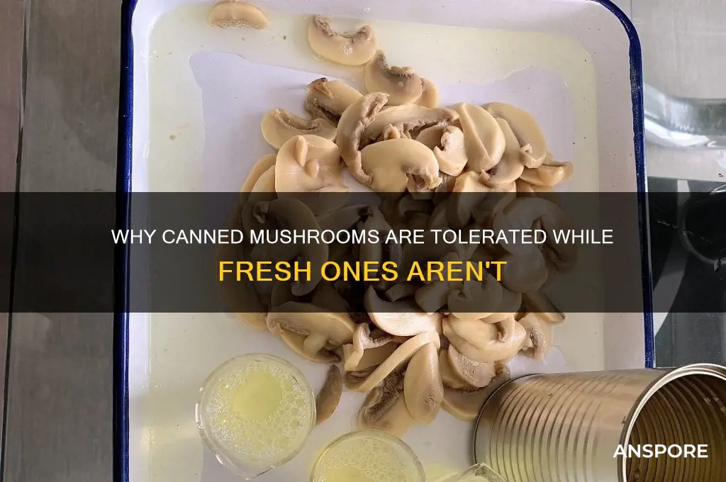 why are canned mushrooms tolerated but not fresh