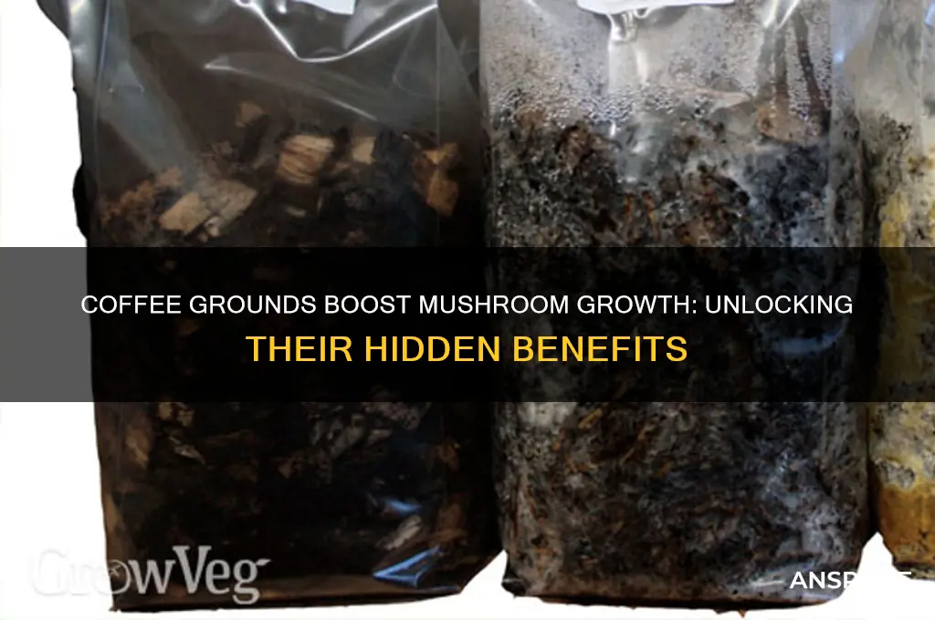 why are coffee grounds good for mushrooms