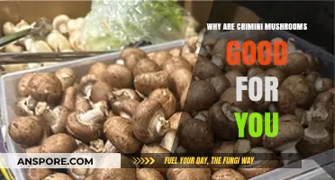 Crimini Mushrooms: Unlocking Nutrient-Rich Benefits for Your Health