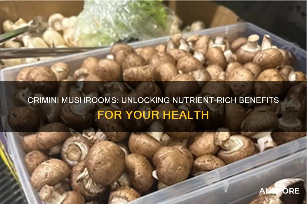 why are crimini mushrooms good for you