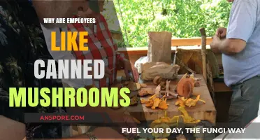 Why Employees Feel Like Canned Mushrooms: Packed, Preserved, and Overlooked