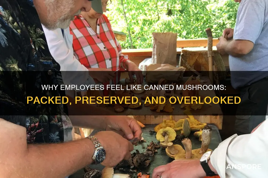 why are employees like canned mushrooms