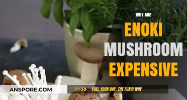 Enoki Mushrooms: Pricey, but Why?