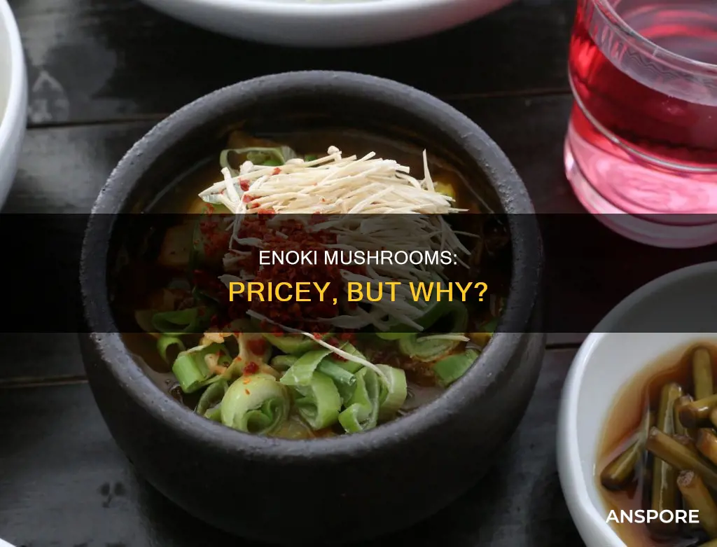 why are enoki mushrooms expensive