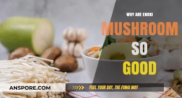 Enoki Mushrooms: Unlocking Their Unique Health Benefits and Culinary Magic