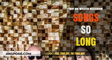 Infected Mushroom's Epic Tracks: Unraveling the Lengthy Musical Journey