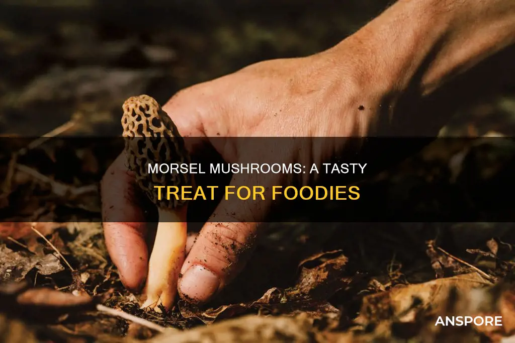 why are morsel mushrooms