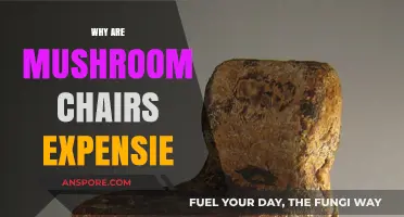 Mushroom Chairs: Expensive Design Secrets Revealed