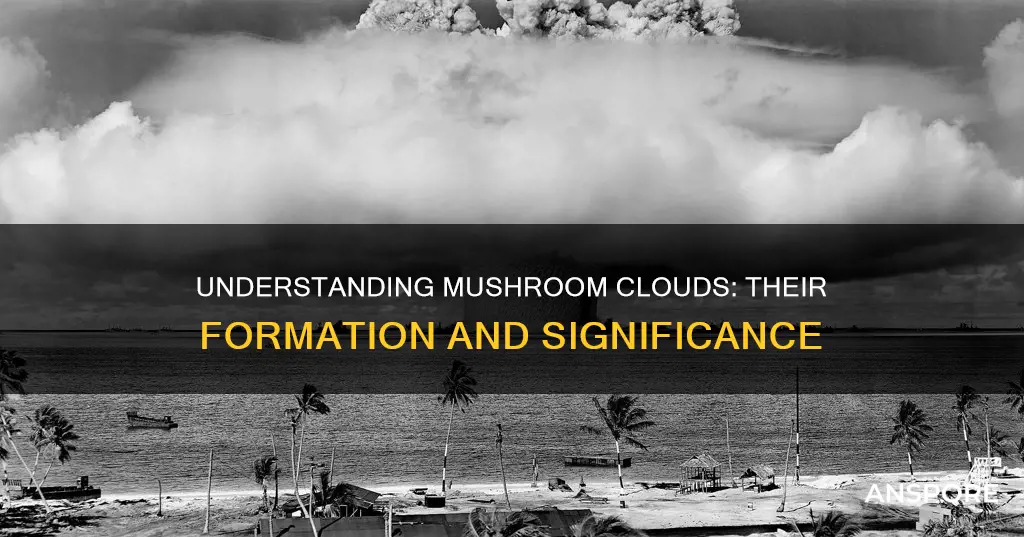 why are mushroom clouds formed
