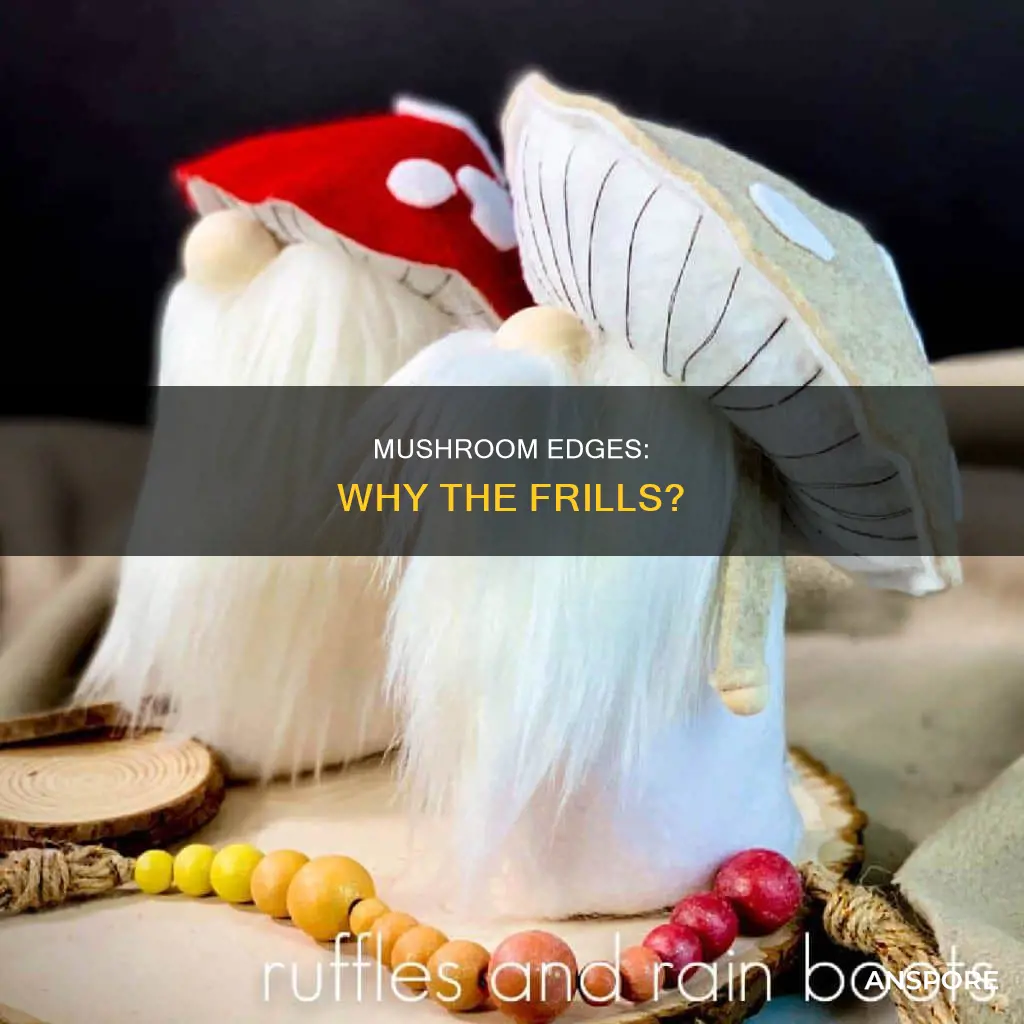 why are mushroom edges ruffling