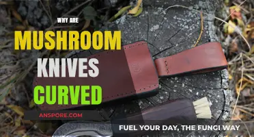 Curved Mushroom Knives: Why the Unique Shape?