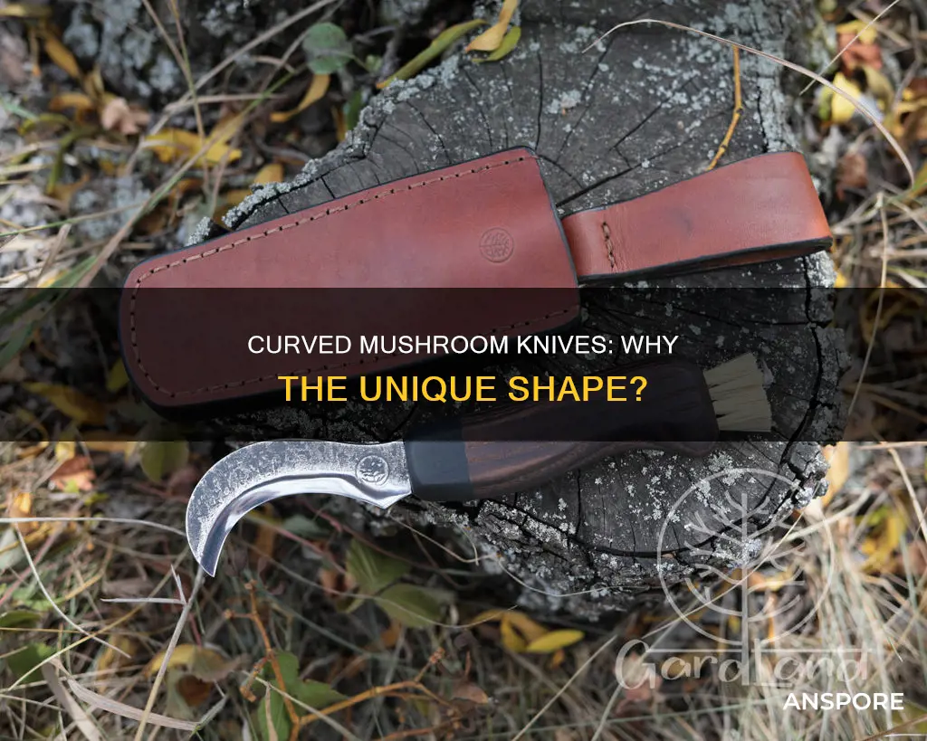 why are mushroom knives curved