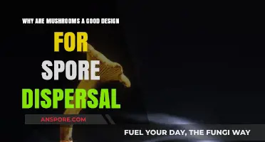 Mushrooms' Ingenious Spore Dispersal: Nature's Tiny, Mighty Design Secrets