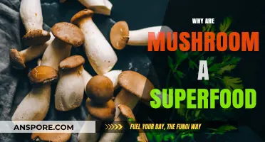 Mushrooms: Superfood Powerhouses for Your Health
