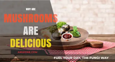Mushrooms: Nature's Delicious and Healthy Treat