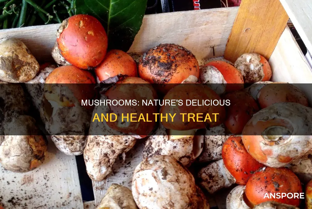 why are mushrooms are delicious