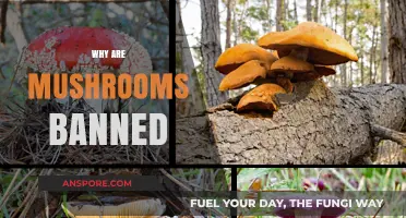 Mushrooms: Banned for Your Safety?