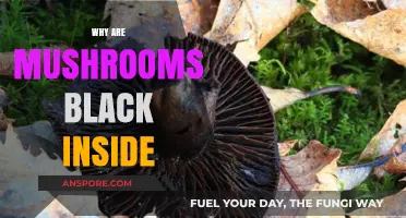 Mushroom Mystery: Black Inside Explained