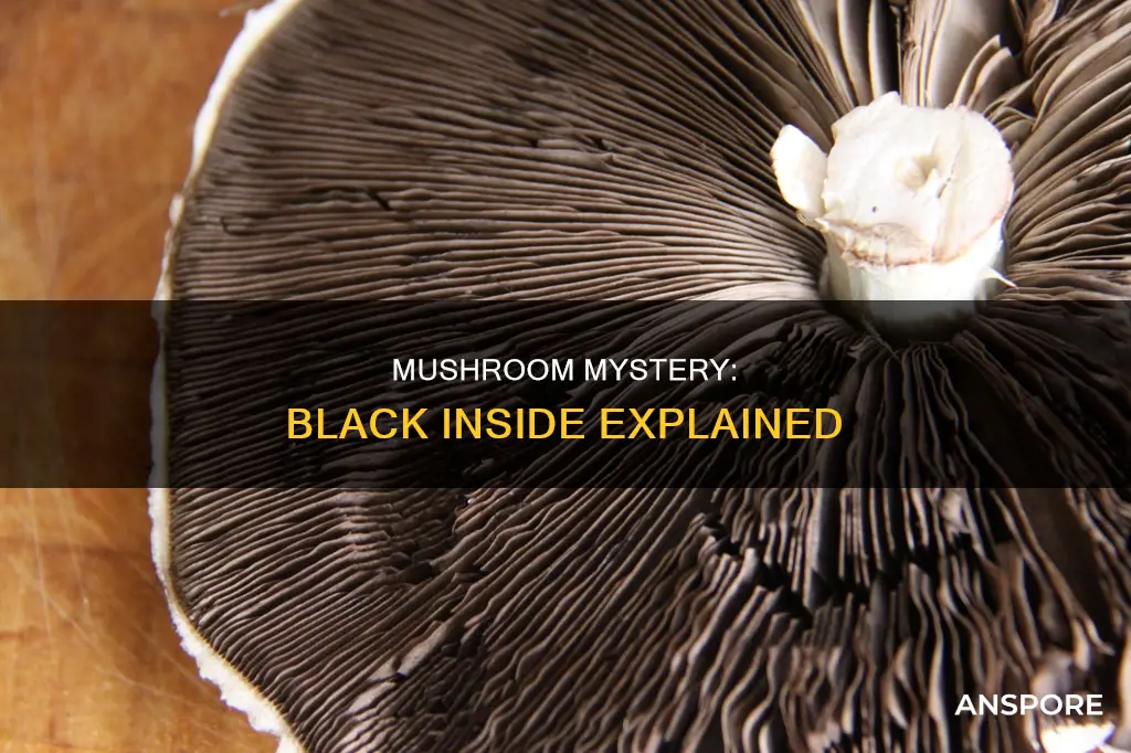 why are mushrooms black inside