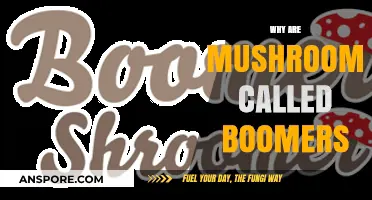 The Magical History of Mushroom Nicknames