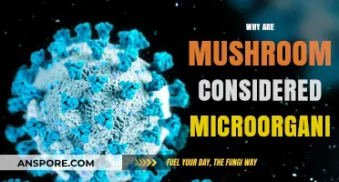 Mushrooms: Microscopic Marvels of the Fungi Kingdom