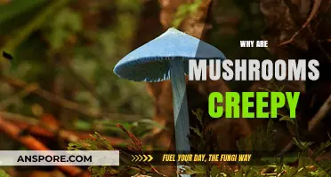 The Creep Factor: Mushrooms' Strange Appeal