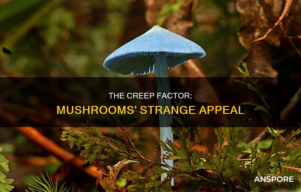 why are mushrooms creepy