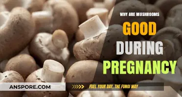Mushrooms in Pregnancy: Nutritional Benefits and Safe Consumption Tips