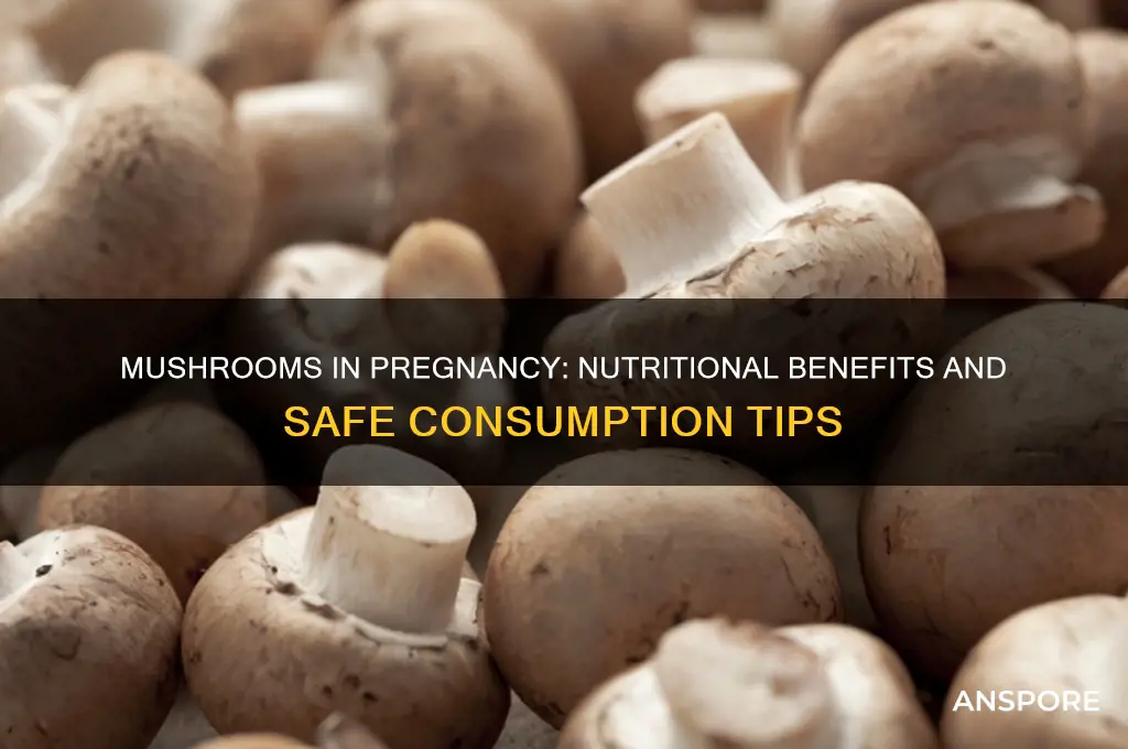 why are mushrooms good during pregnancy