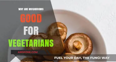 Mushrooms: The Nutrient-Packed, Meatless Marvel for Vegetarian Diets